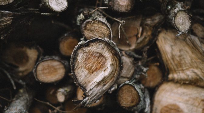 stack of dry logs in countryside